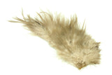Whiting Bird Fur