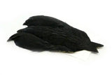 Whiting 4B Rooster Cape