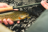 Guideline Embrace Light Trout - 9' #5 Fliegenfischer-Set