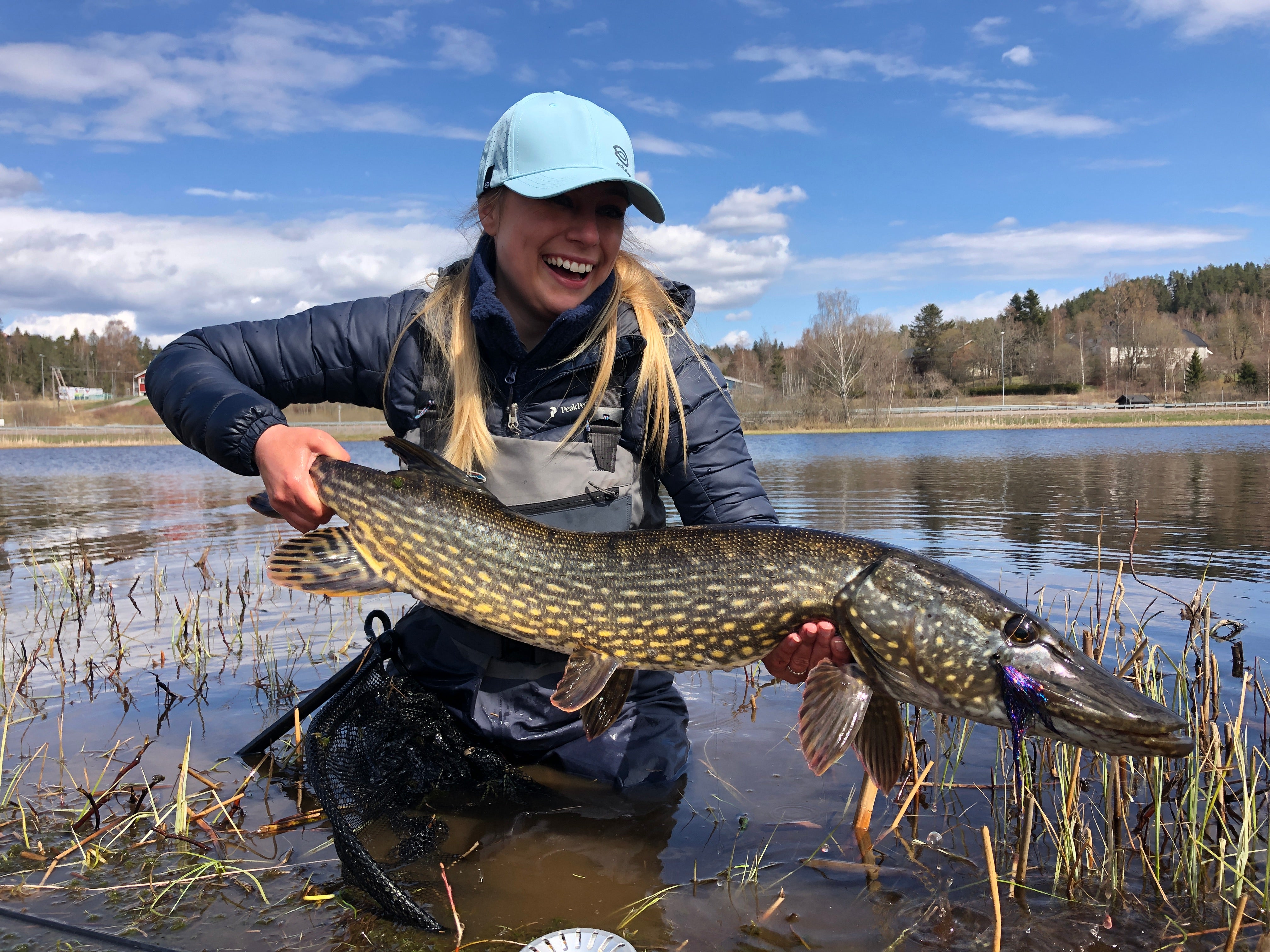 Arcticsilver Beast Switch Flex Fliegenrute