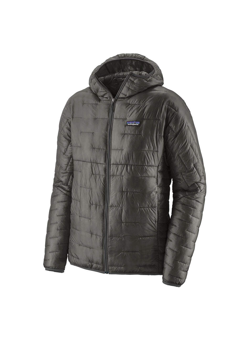 Patagonia M´s Micro Puff Hoody